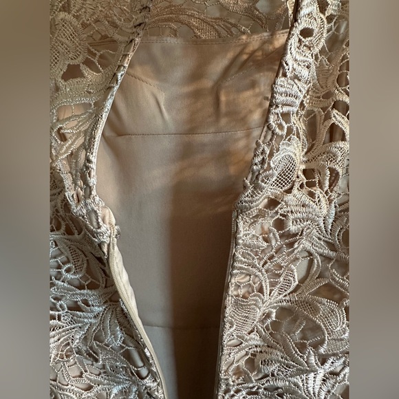 Stunning Lace Gown - Picture 6 of 10